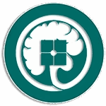 WSSFN – World Society for Stereotactic and Functional Neurosurgery